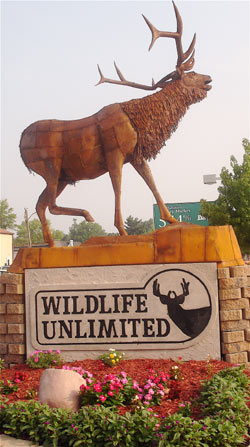 Elk