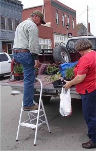 George Reed and Barb Stogsdill sort out the plants prior to planting.