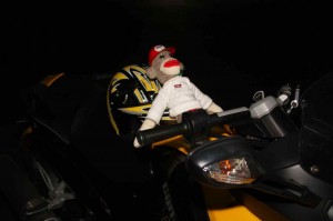 Sock Monkey enjoyed the evening tour with his new friends.