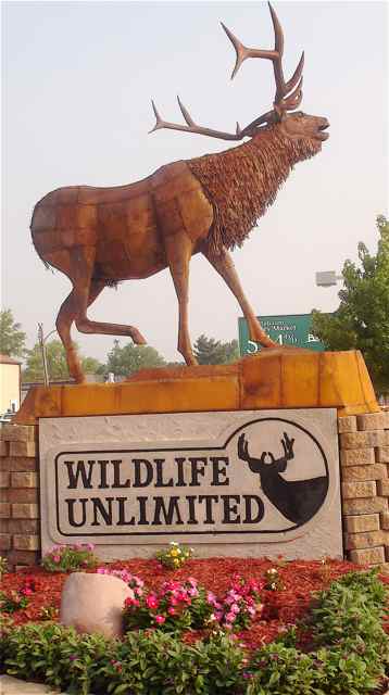 Glen Tutterrow built the elk in front of his business.