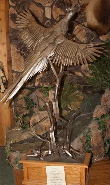 Glen made the pheasant sculpture of 18 gauge metal. Some day it will grace a private home or corporate area.