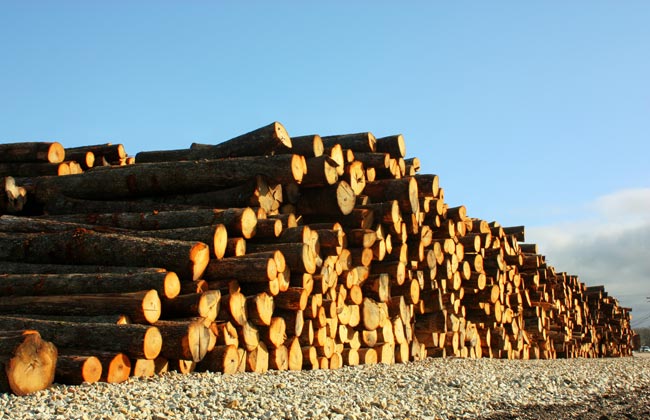 Log inventory McGinnis Wood Products Cuba, Missouri