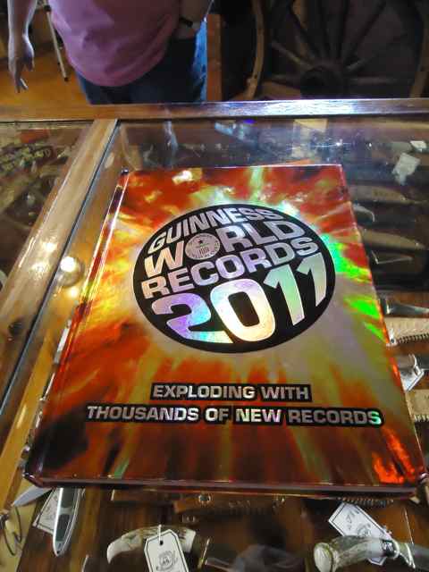 2011 Guinness Book of World Records