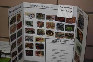 Missouri snakes